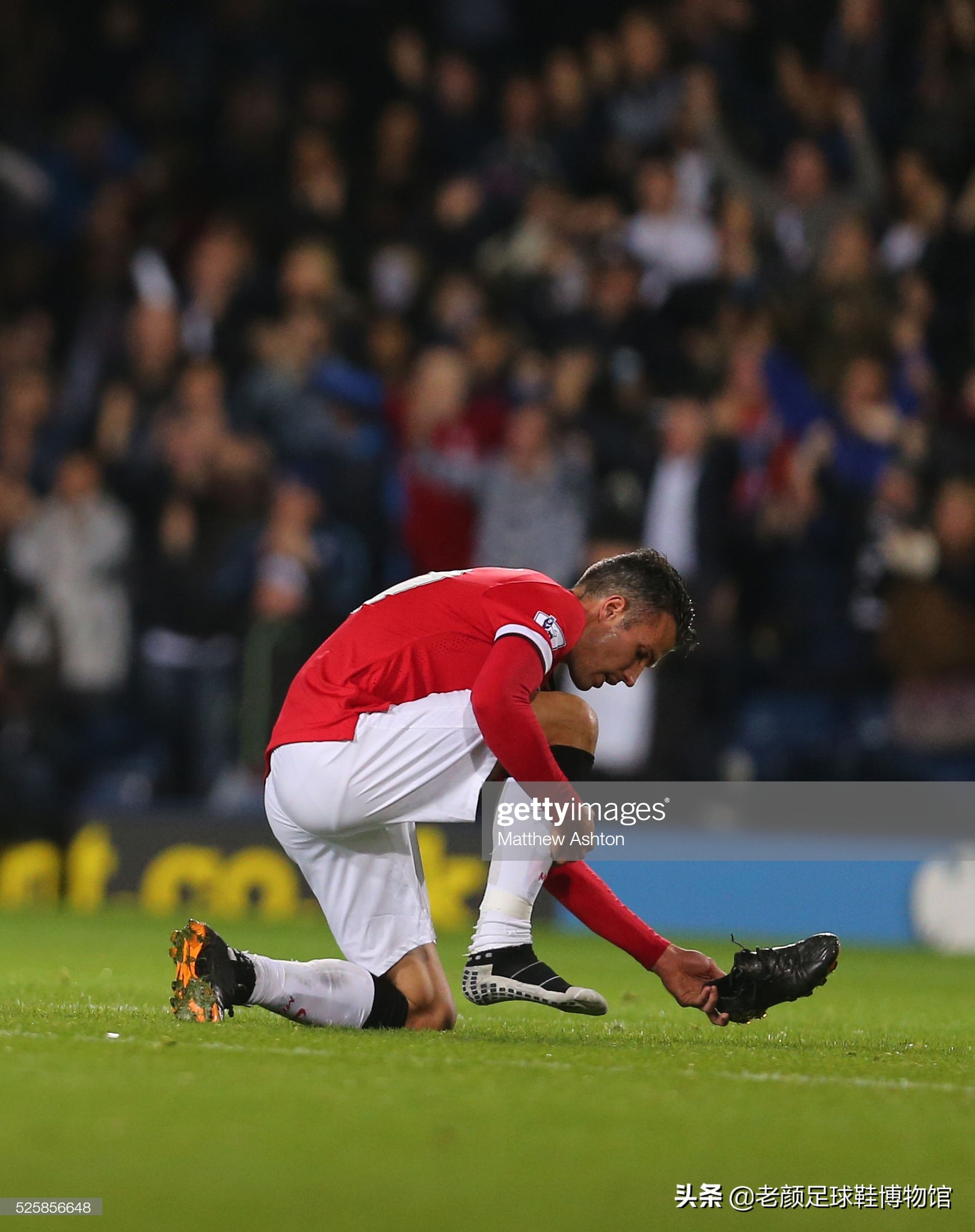 贡献了关键 贡献了关键